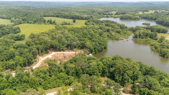 0 Beech Creek Loop, Clifton, TN 38425
