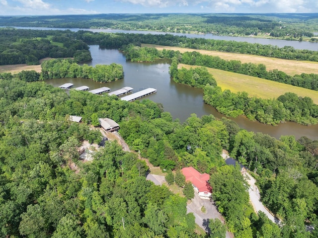 2768 Ridgeway Dr, Sugar Tree, TN 38380 - bird's eye view of a large body of water and a heavily wooded area
