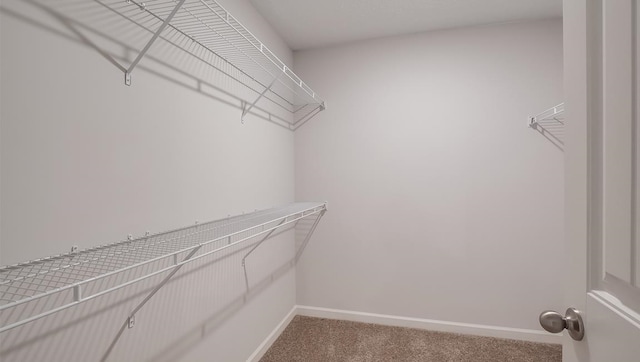 8005 Royster Creek Dr E, Millington, TN 38053 - walk in closet featuring carpet floors