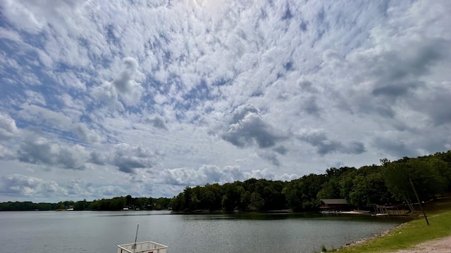 1642 Choctaw Dr, Saulsbury, TN 38067