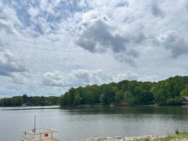 1642 Choctaw Dr, Saulsbury, TN 38067