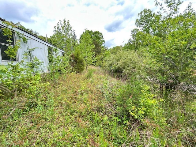 1642 Choctaw Dr, Saulsbury, TN 38067