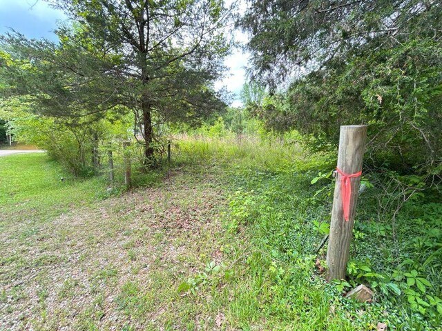 1642 Choctaw Dr, Saulsbury, TN 38067