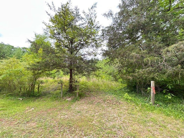 1642 Choctaw Dr, Saulsbury, TN 38067