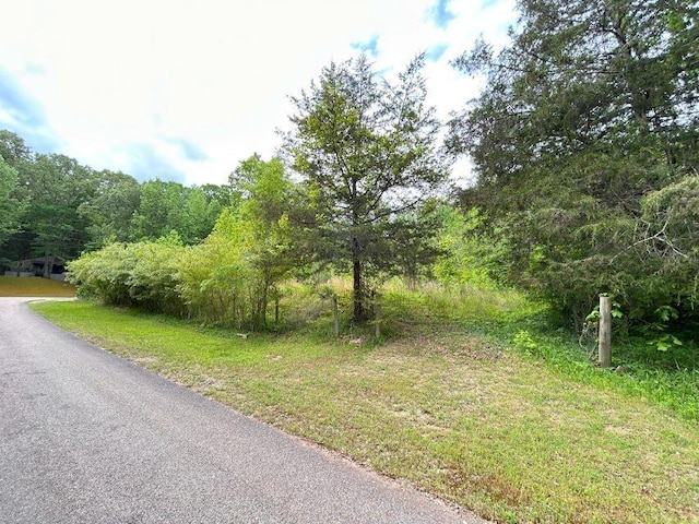 1642 Choctaw Dr, Saulsbury, TN 38067