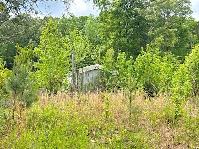 1642 Choctaw Dr, Saulsbury, TN 38067
