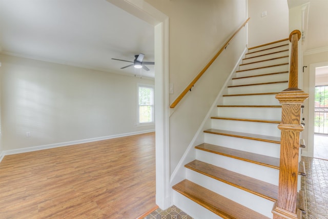 7238 Mcvay Rd, Germantown, TN 38138 - staircase featuring ceiling fan, plenty of natural light, wood finished floors, baseboards, and crown molding