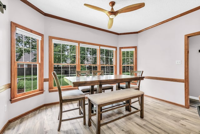 858 Gunnison Dr, Collierville, TN 38017 - dining space featuring light wood finished floors, baseboards, crown molding, ceiling fan, and a textured ceiling