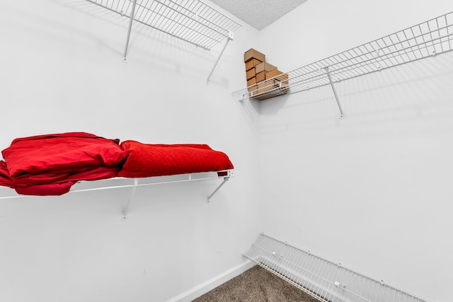 858 Gunnison Dr, Collierville, TN 38017 - walk in closet featuring carpet floors
