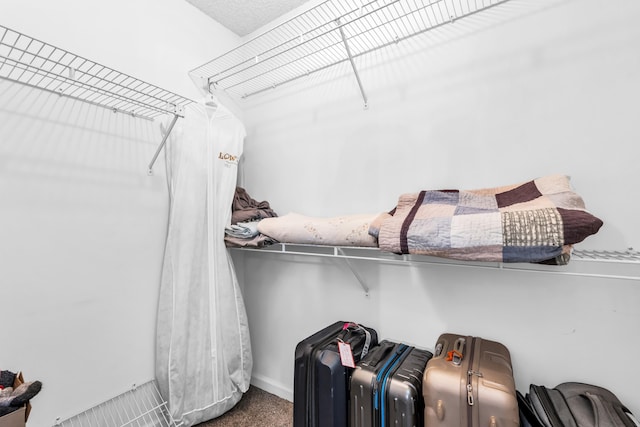 858 Gunnison Dr, Collierville, TN 38017 - spacious closet with carpet floors