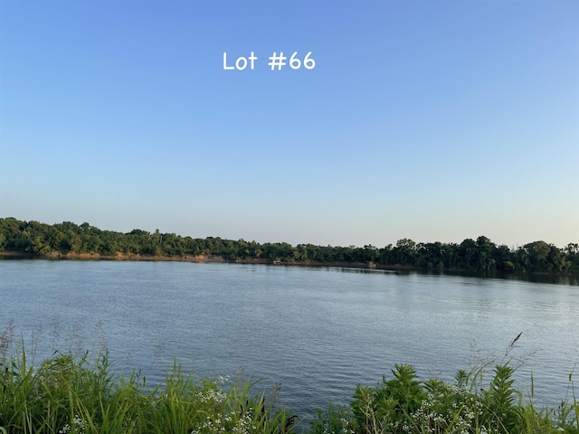 66-67 Catfish Ln, Crump, TN 38327
