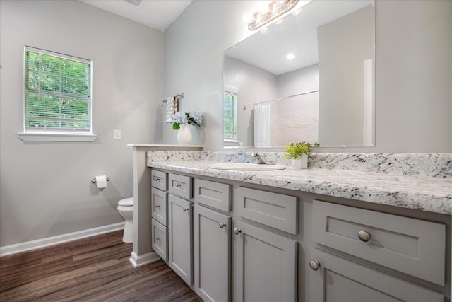 bathroom featuring baseboards, toilet, wood finished floors, a shower with shower curtain, and vanity