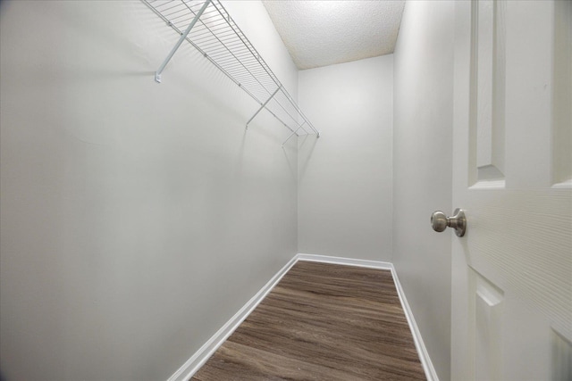 spacious closet with dark wood-style floors