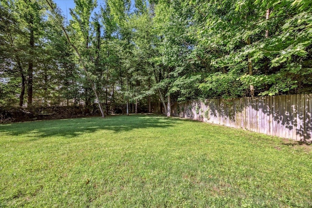 view of yard