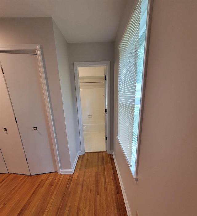 5551 Derron Dr, Memphis, TN 38115 - corridor featuring light wood finished floors, healthy amount of natural light, and baseboards