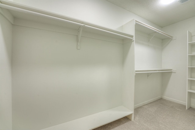 1823 Allenby Green Dr Unit 6, Germantown, TN 38139 - walk in closet with light colored carpet