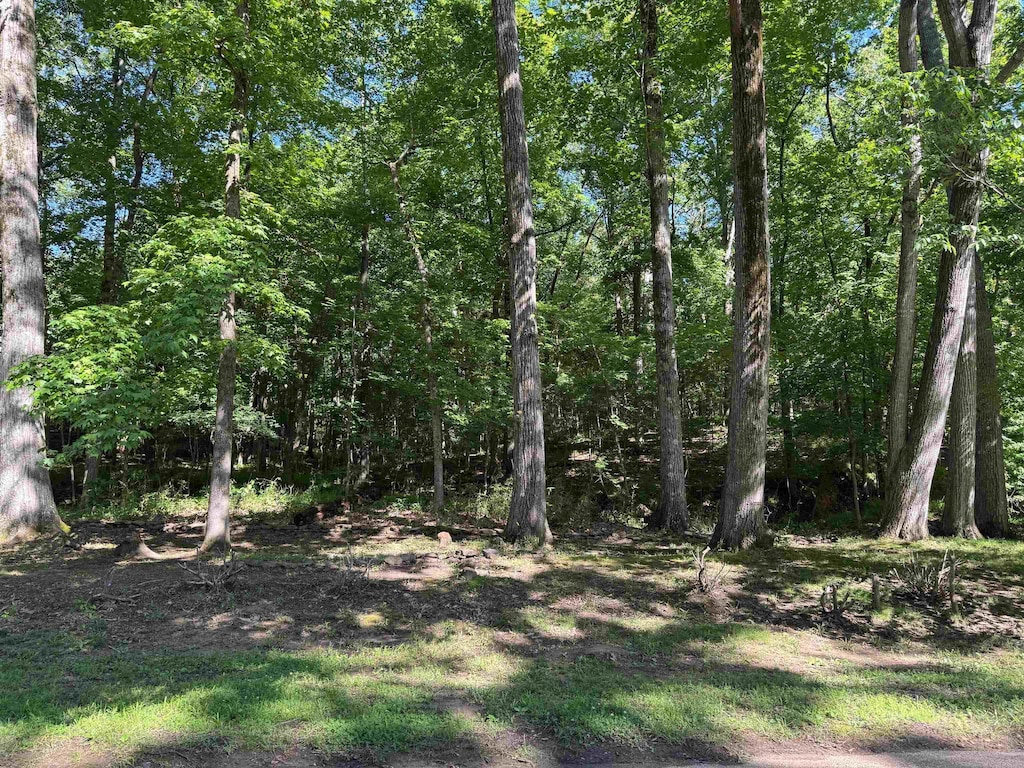 9390 Zachariah Cv, Bartlett, TN 38133