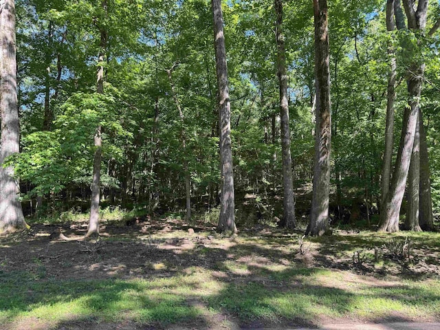9390 Zachariah Cv, Bartlett, TN 38133