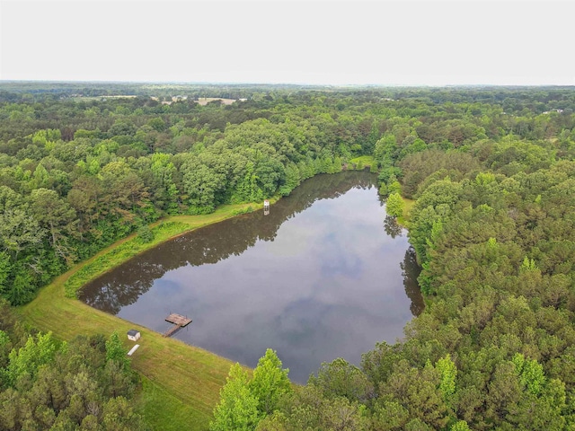 504 Rushing Rd, Michie, TN 38357 - drone / aerial view of a forest and a nearby body of water