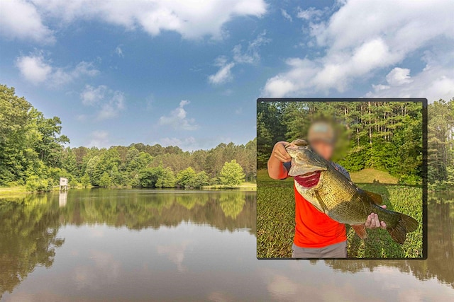 504 Rushing Rd, Michie, TN 38357 - water view with a forest