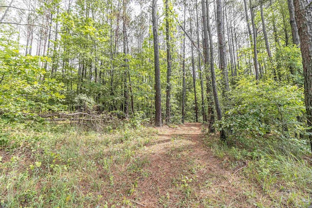 504 Rushing Rd, Michie, TN 38357 - view of woods