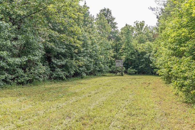 504 Rushing Rd, Michie, TN 38357 - view of green lawn featuring a wooded view