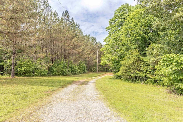 504 Rushing Rd, Michie, TN 38357 - view of dirt / gravel road with a view of trees