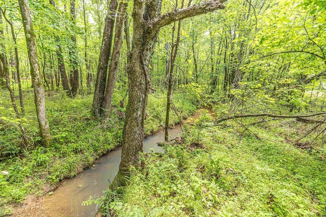 504 Rushing Rd, Michie, TN 38357 - view of woods