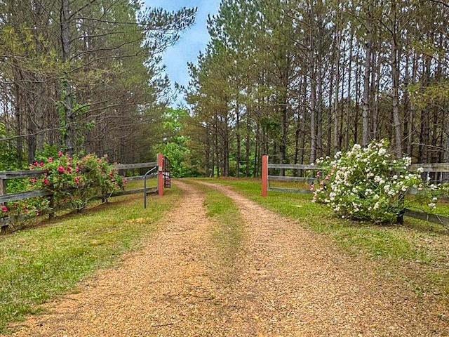 504 Rushing Rd, Michie, TN 38357 - view of dirt / gravel road featuring a forest view