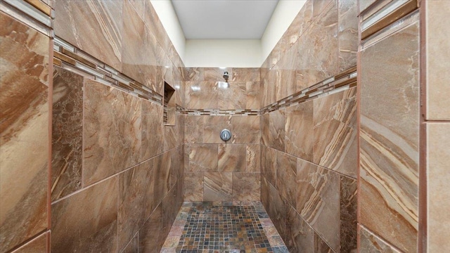 6861 Sauterne Cv, Memphis, TN 38115 - detailed view of tiled shower