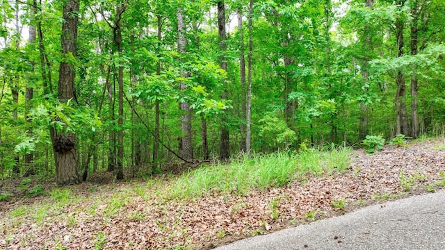 74 Backwoods Loop, Counce, TN 38326