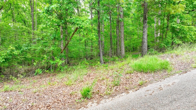 74 Backwoods Loop, Counce, TN 38326