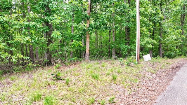 74 Backwoods Loop, Counce, TN 38326