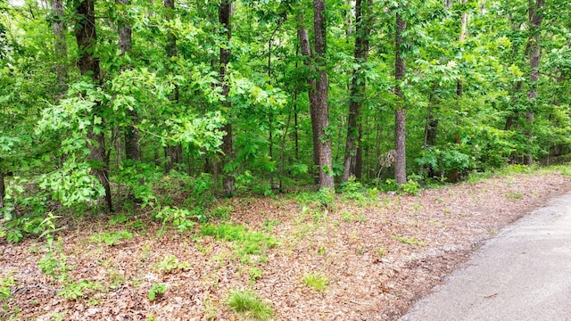 74 Backwoods Loop, Counce, TN 38326