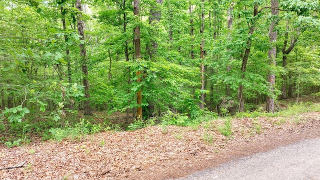 74 Backwoods Loop, Counce, TN 38326