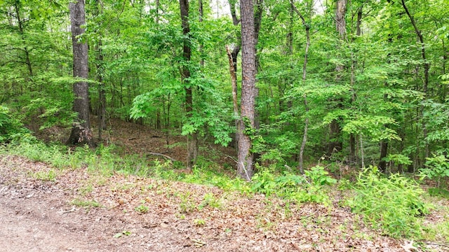 74 Backwoods Loop, Counce, TN 38326