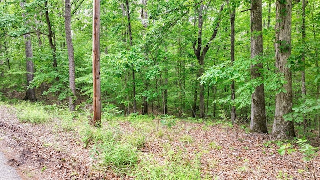 74 Backwoods Loop, Counce, TN 38326