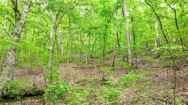 74 Backwoods Loop, Counce, TN 38326