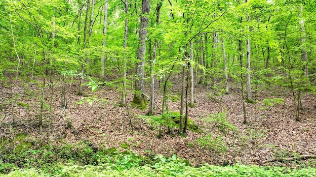 74 Backwoods Loop, Counce, TN 38326
