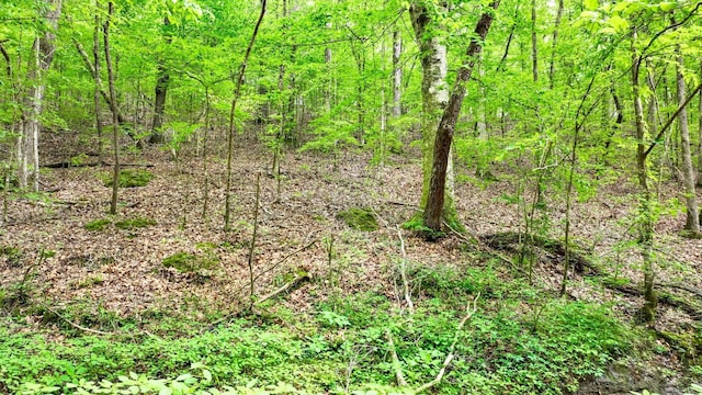 74 Backwoods Loop, Counce, TN 38326