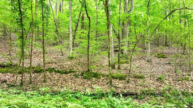 74 Backwoods Loop, Counce, TN 38326