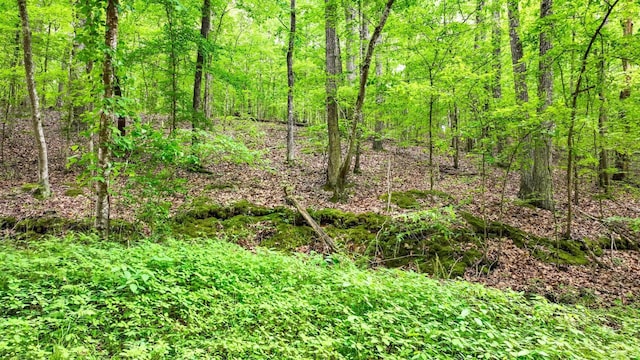 74 Backwoods Loop, Counce, TN 38326