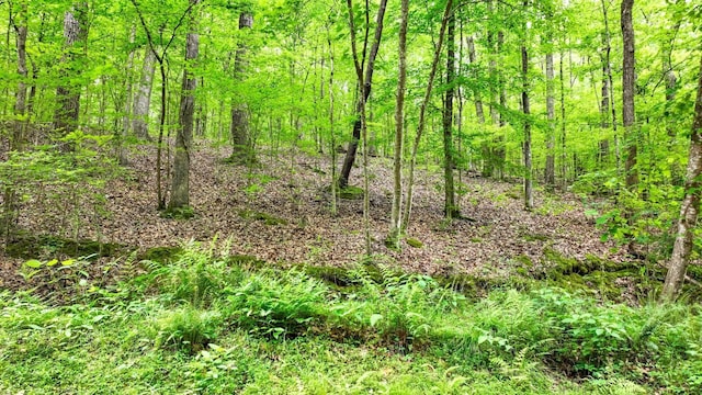 74 Backwoods Loop, Counce, TN 38326