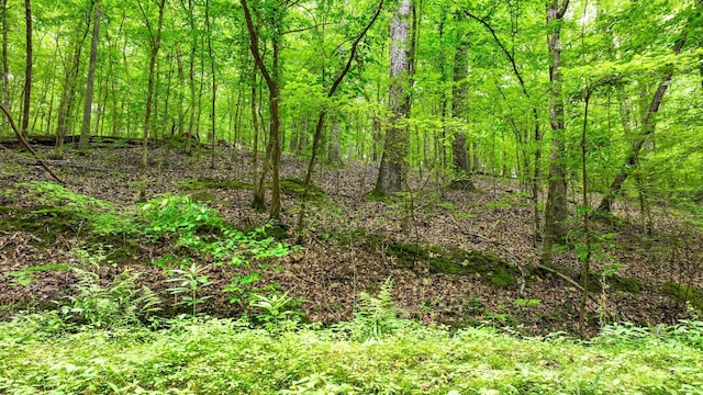 74 Backwoods Loop, Counce, TN 38326