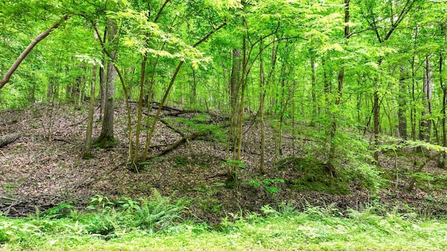 74 Backwoods Loop, Counce, TN 38326