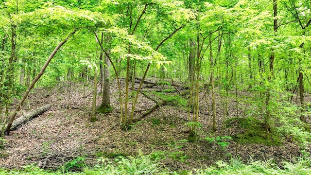 74 Backwoods Loop, Counce, TN 38326