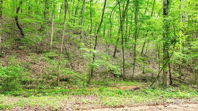74 Backwoods Loop, Counce, TN 38326