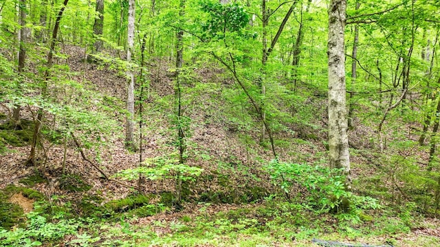 74 Backwoods Loop, Counce, TN 38326