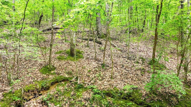 74 Backwoods Loop, Counce, TN 38326