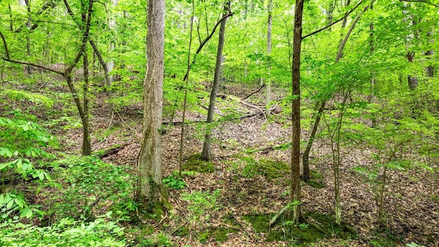 74 Backwoods Loop, Counce, TN 38326